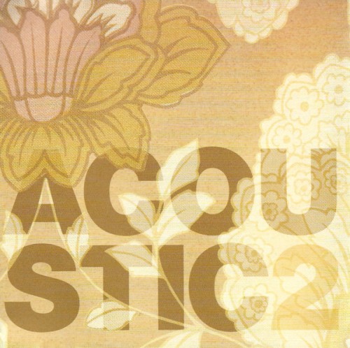 Acoustic 2