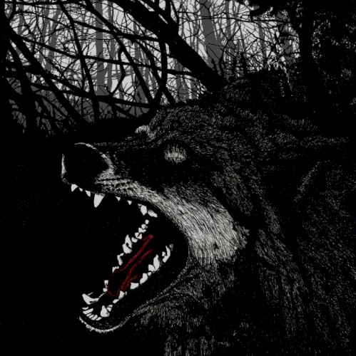 The Swamp / The Dogs