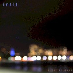 Analogue Oceans