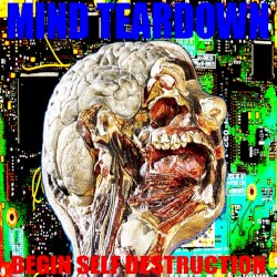 Begin Self Destruction