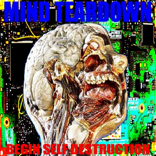 Begin Self Destruction