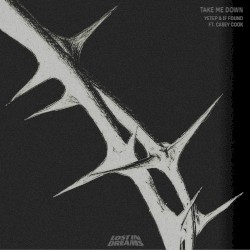 Take Me Down