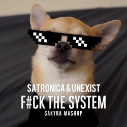 F#ck The System (Sakyra Mashup)