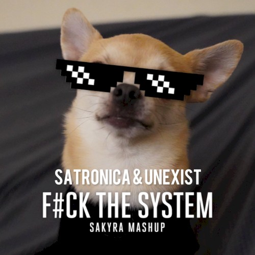 F#ck The System (Sakyra Mashup)