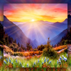 Music For Nature Programmes