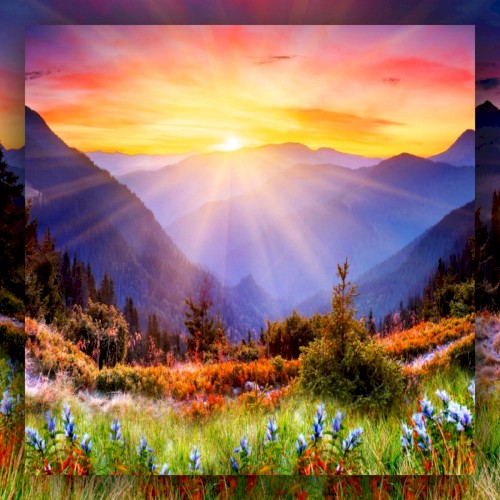 Music For Nature Programmes