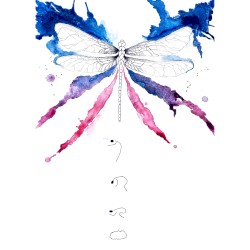 Imago