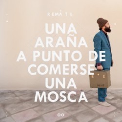 Una Araña A Punto De Comerse Una Mosca