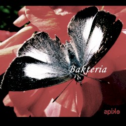 Bakteria