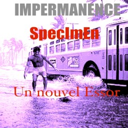 Un nouvel essor