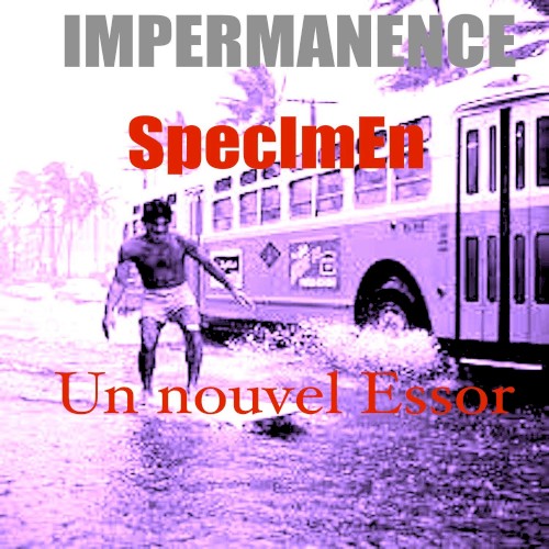 Un nouvel essor
