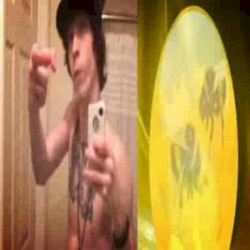 gratata