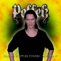 Covers Vol. 19