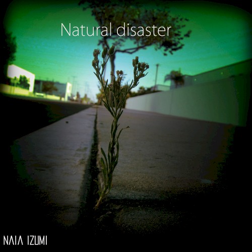 Natural Disaster
