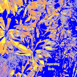 Evaporating Birds