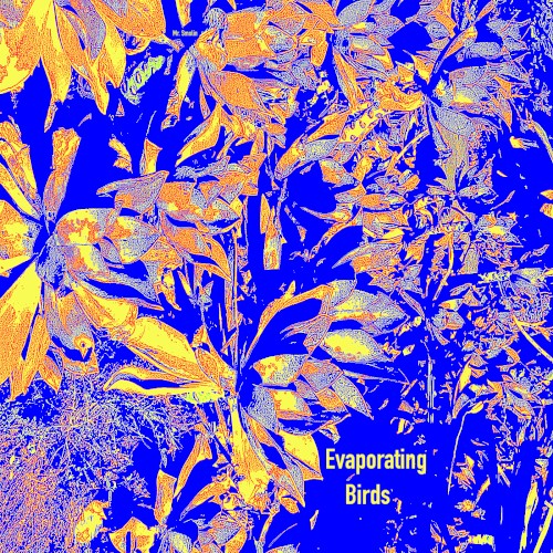 Evaporating Birds
