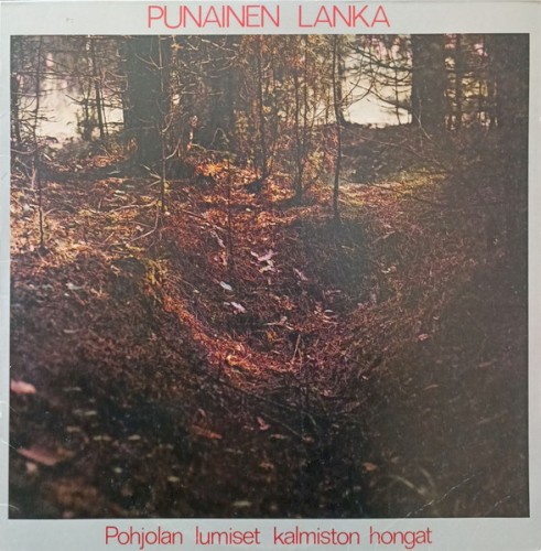 Pohjolan lumiset kalmiston hongat