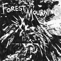 Ruminations on Being Lost in the Woods