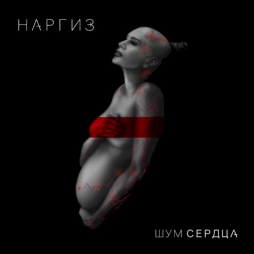 Шум сердца
