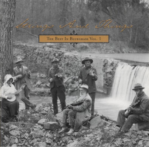 Strings and Things: The Best In Bluegrass, Vol. 1