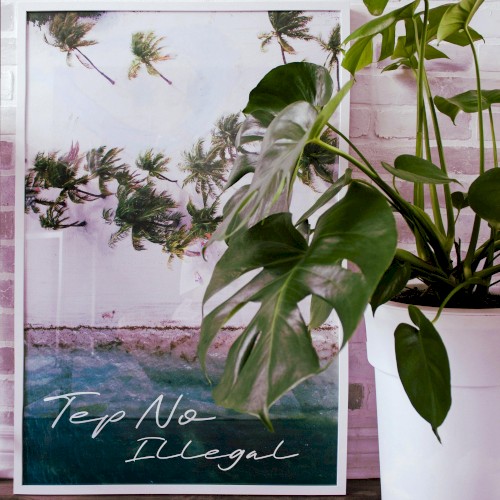 Illegal