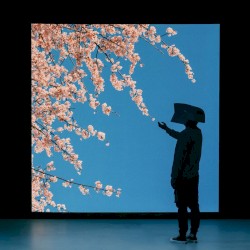 Reflection