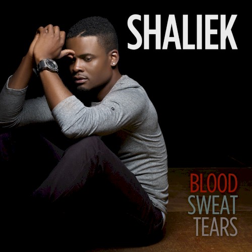 Blood Sweat Tears