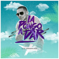 La pongo a dar