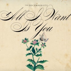 All I Want Is You