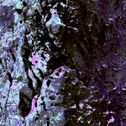 Reincarnate (Fool for You)