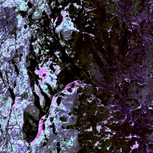 Reincarnate (Fool for You)