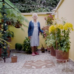 Primavera febril