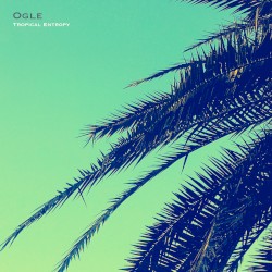 Tropical Entropy