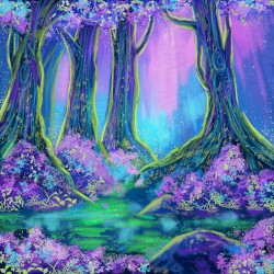 Wonders