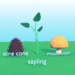 pine cone, sapling & mushroom