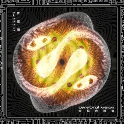 Cerebral Vision