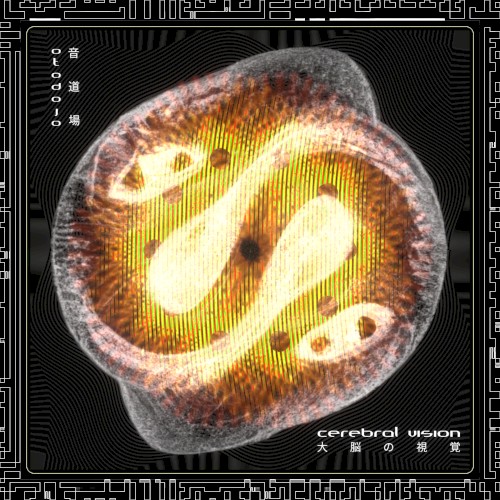Cerebral Vision