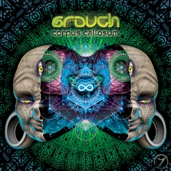 Corpus Callosum