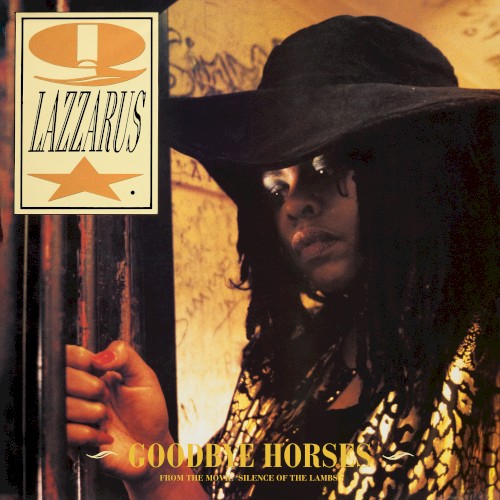 Goodbye Horses