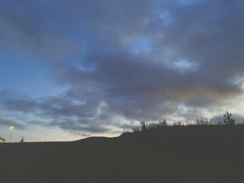 night in blue dreams