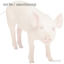 Sanctimony