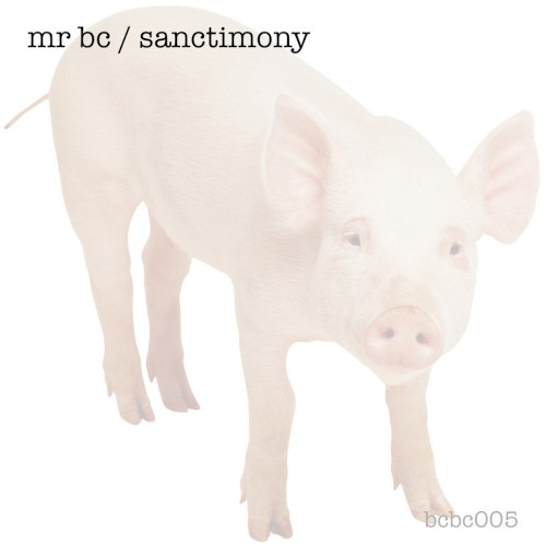 Sanctimony