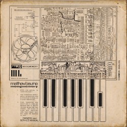 moogmemory plus