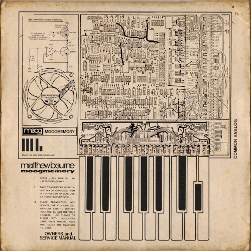 moogmemory plus