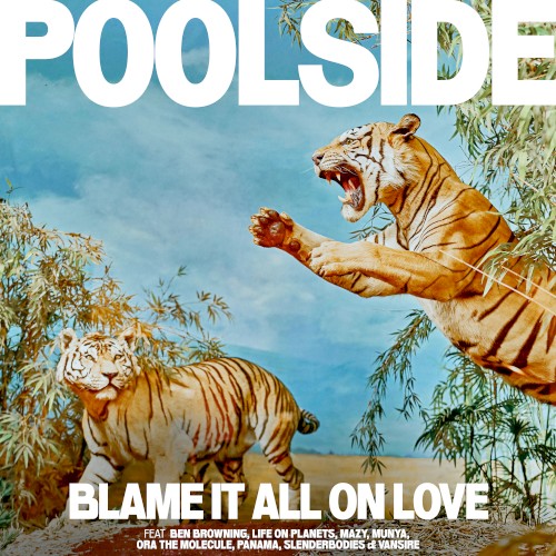 Blame It All on Love