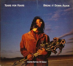 Break It Down Again