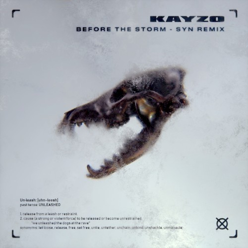 Before the Storm (SYN remix)