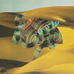 Django Django