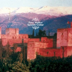 Spanish Guitar