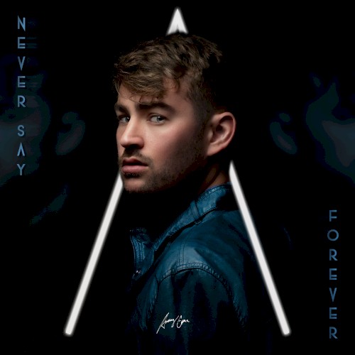 Never Say Forever